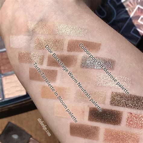 dior backstage lip palette swatches|Dior Backstage palette warm neutrals.